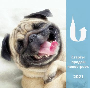 Старты продаж новостроек в 2021 году